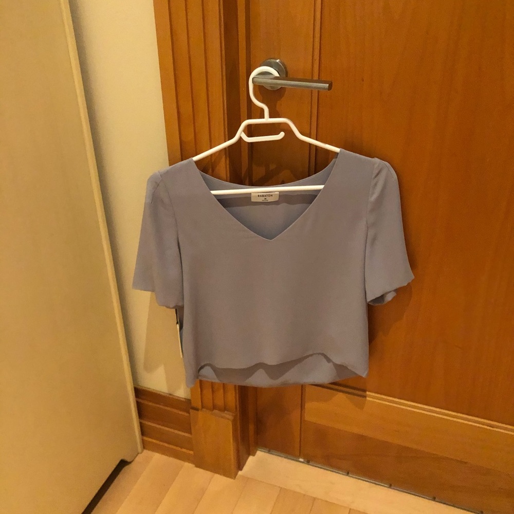 Aritzia Babaton blouse